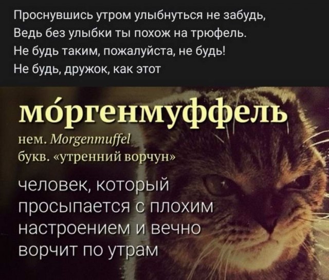Картинки и мемы для настроения