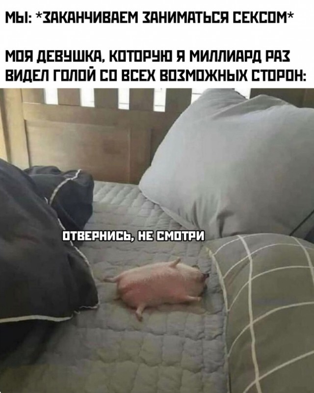 Картинки и мемы для настроения 03.11.2021