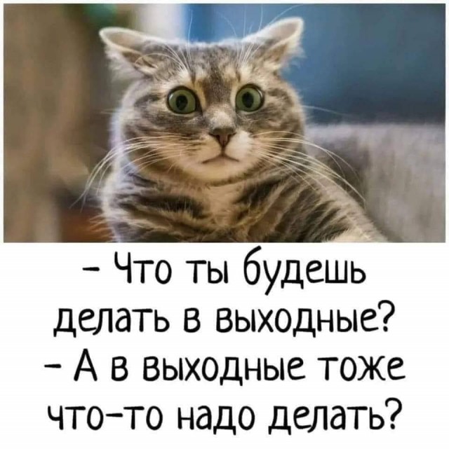 Так себе картинки 08.11.21