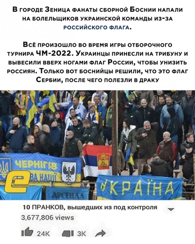 Весёлый полтишок 19.11.2021