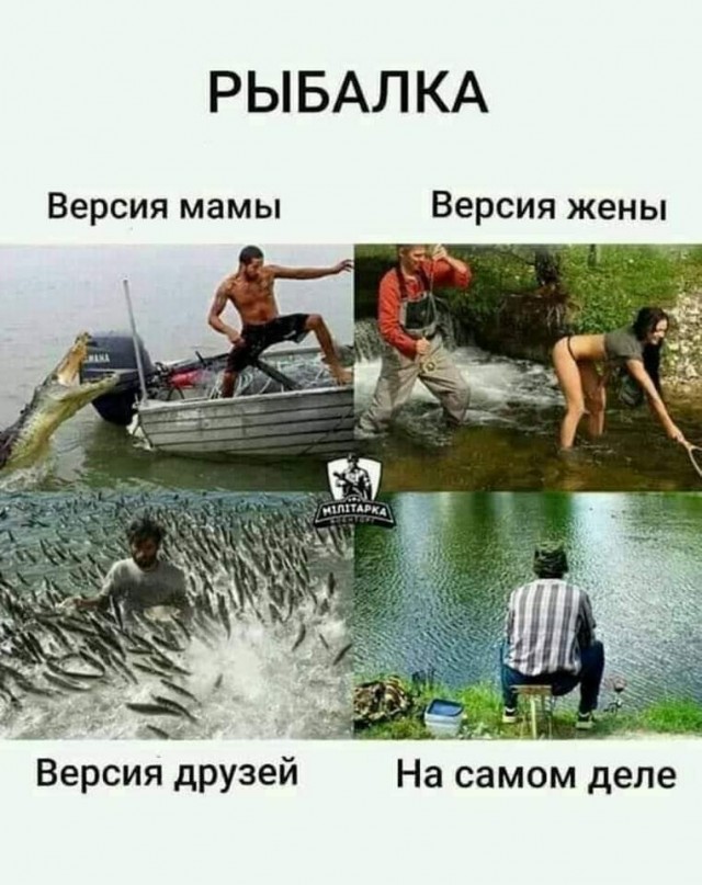 Всяческие картинки 22.11.2021