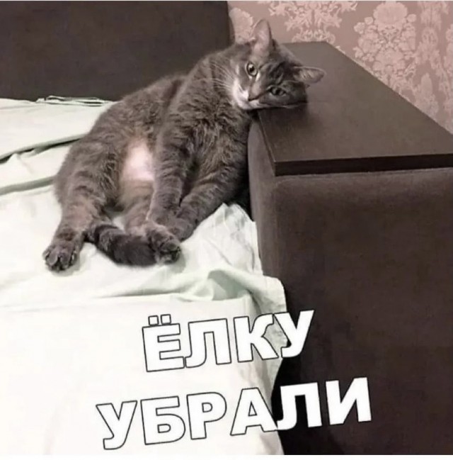 Картинки и мемы, всем прекрасных выходных