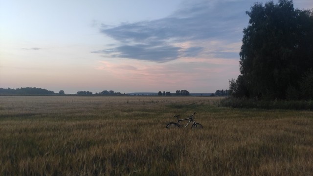 Мое небольшое увлечение. Мобильная фотография
