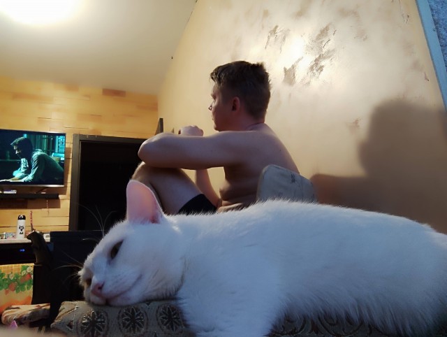 Котовторник