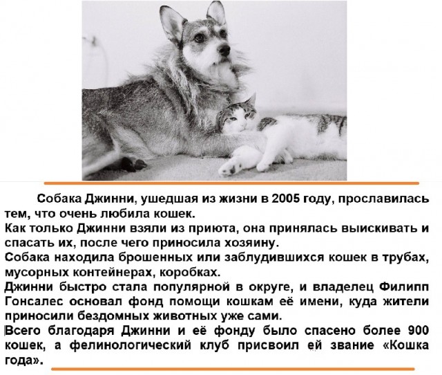 Картинки с надписями и всякие жизненные фразы