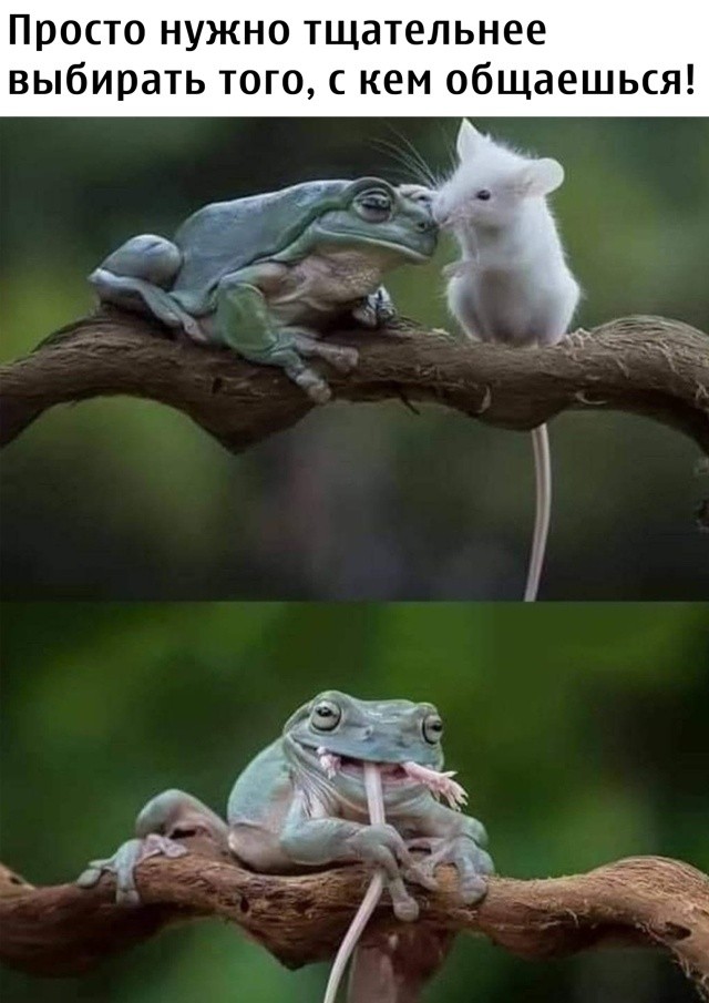 Так себе картинки 12.07.22