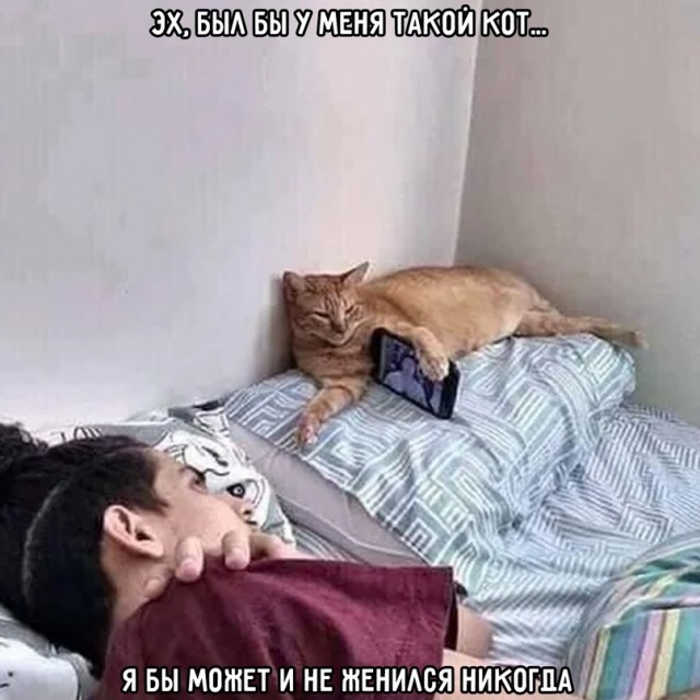 Картинки и мемы для настроения. Выходные рядышком...