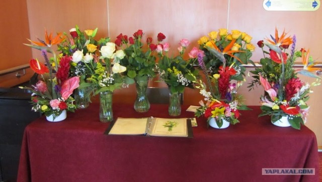 Любовь с первого взгляда