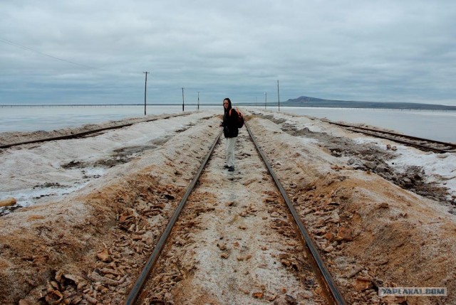 Вот в чем вся соль!