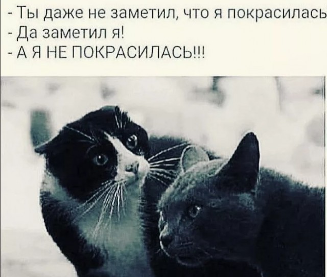 Зачем женатые сидят в машине, а не сразу идут домой?