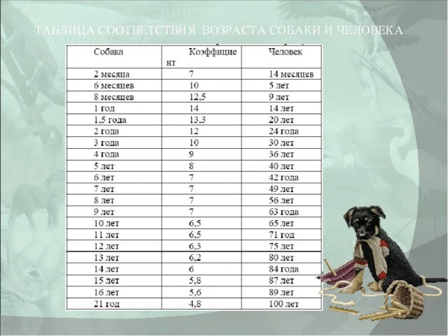 42 года женаты