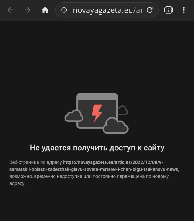 В Самарской области задержали главу «Совета матерей и жен» Ольгу Цуканову