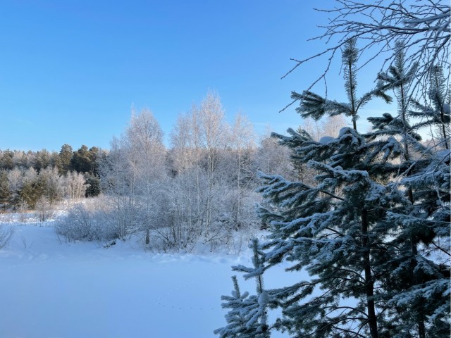 Одно зимнее фото