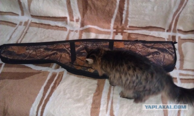 Готовлюсь к новому сезону