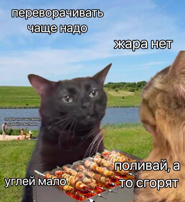 Так себе картинки 21.08.23