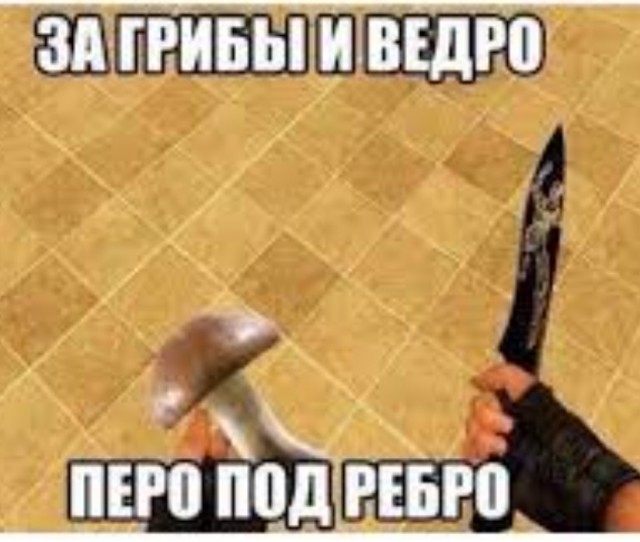 Гигантский белый гриб нашли в башкирском лесу - почти в кило весом