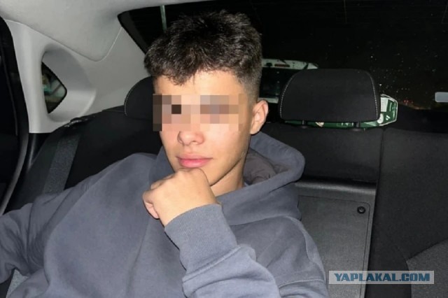 Суд в Петербурге арестовал еще двух обвиняемых в избиении прохожих.