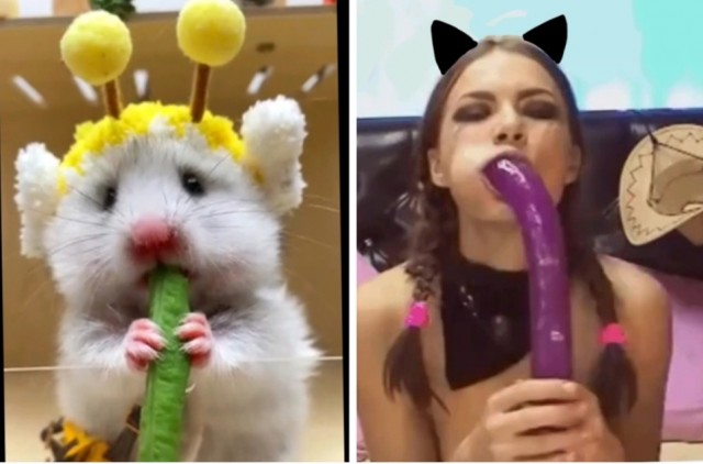 Ничего милее вы сегодня всё-равно не увидите