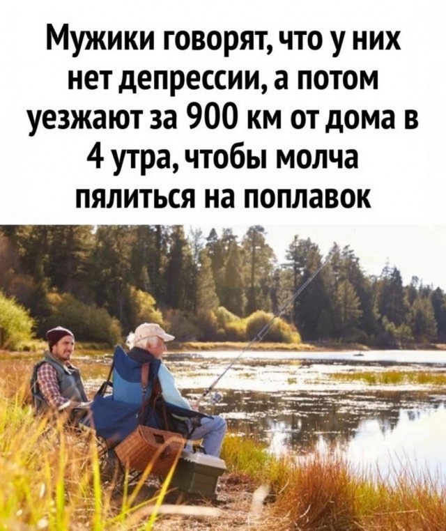 Всего понемногу. От 10.11.23