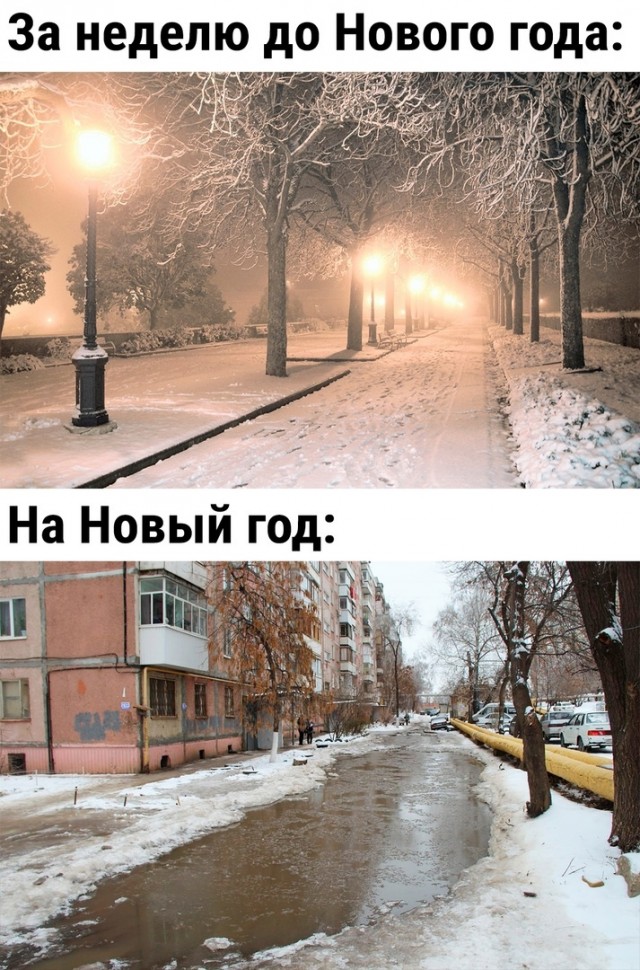 Так себе картинки 31.12.23