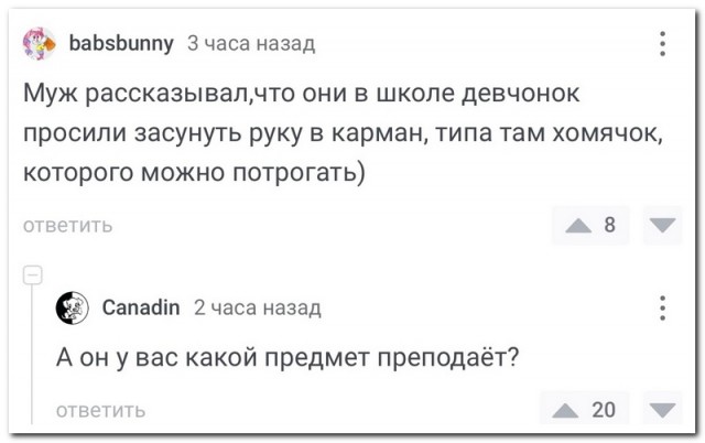 Забавные комментарии из социальных сетей (21.05.24)