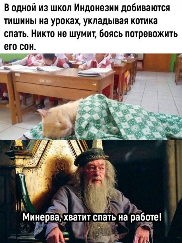 Так себе картинки 10.07.24