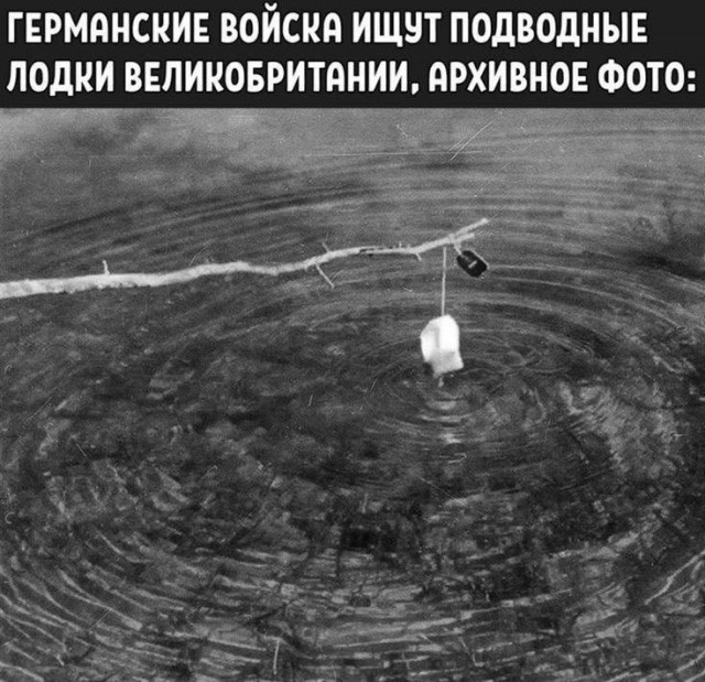 Народная меДИЧина 5001