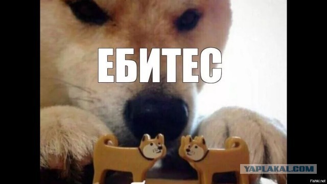 Вот её точно хорошо е*ут, в хорошем смысле