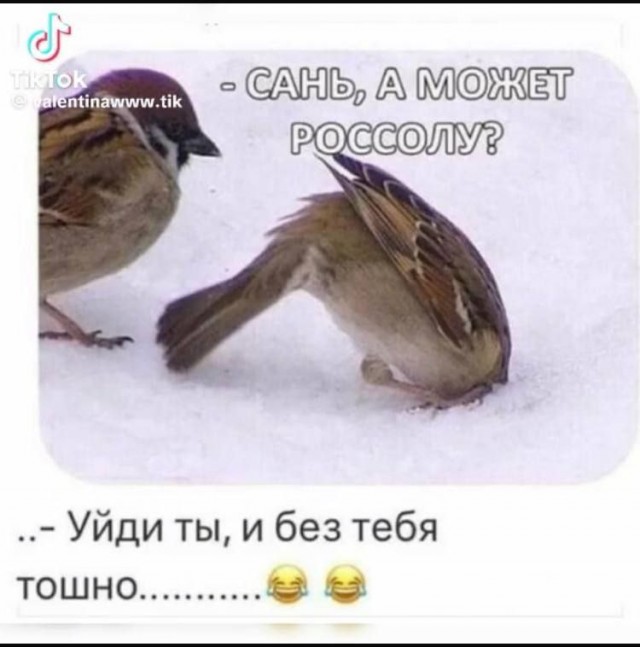 Немного картинок натыренных в ТГ
