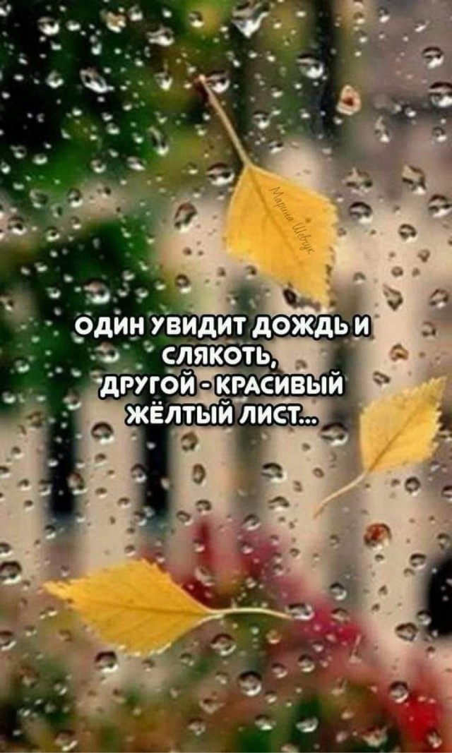 Прикольные и просто красивые картинки 18.10.2024