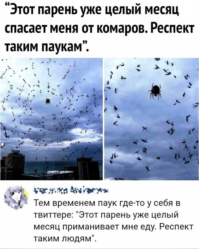 Завалялось тут случайно немного забавных картинок