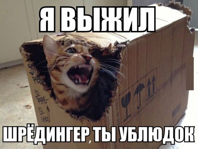 Живой, надо же!