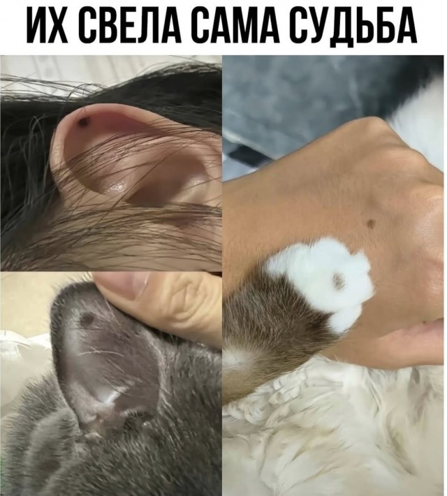 Завалялось тут случайно немного забавных картинок