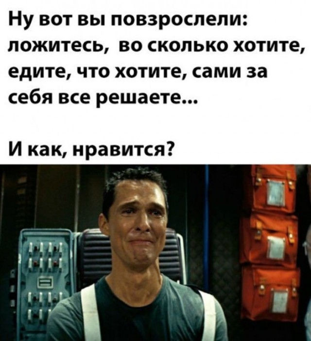 Весёлый полтишок 06.06.25