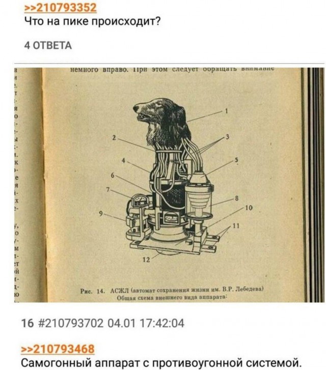 Веселое настроение в картинках (11.07.2025)