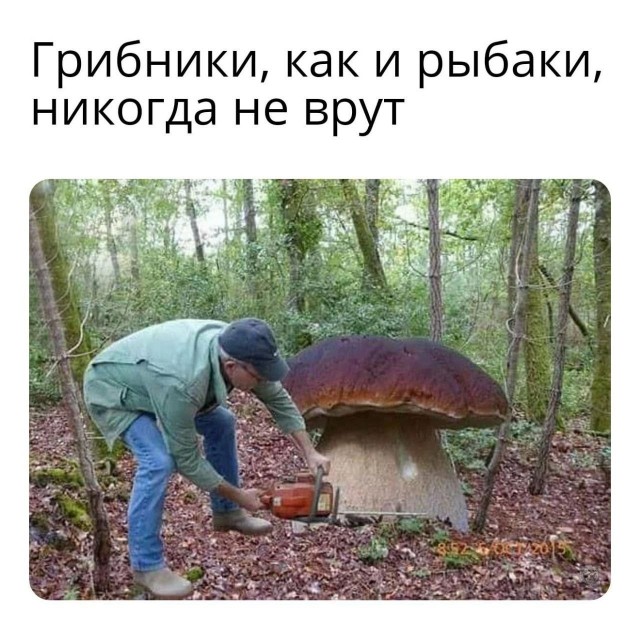 Самые правдивые люди