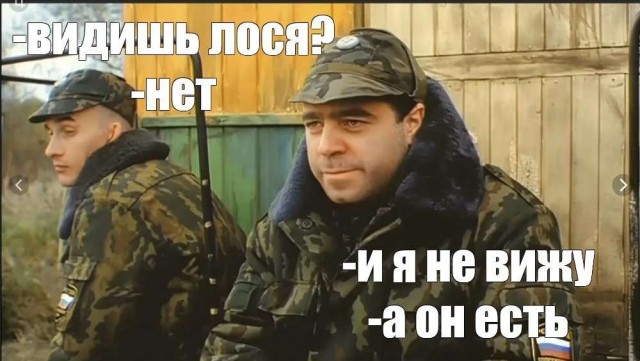 Семья с ребёнком похитила крошечного котёнка из продуктового в Парголово