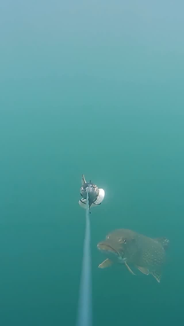 Рыбу надо есть и ловить в месяце