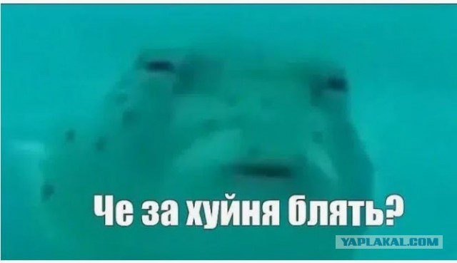 Министр войны США Пит Хегсет обратился к генералам армии США