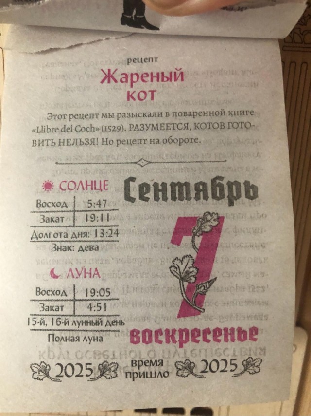 Картинки для бодрости духа