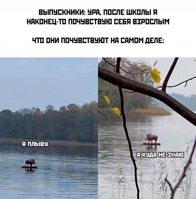 Так себе картинки 15.10.25
