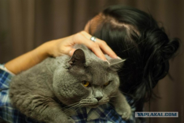 Осталось совсем немного