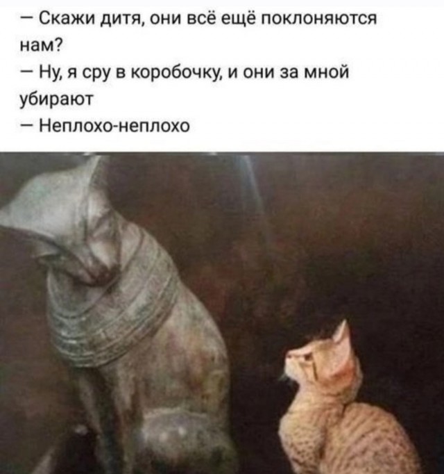 Веселое настроение в картинках (12.12.2025)