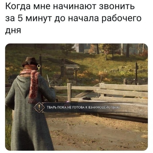 Картиночки, баянчики 12 января