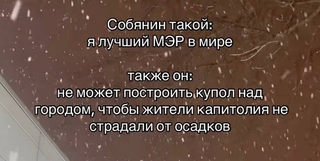 Все таки есть недостаток у Собянина