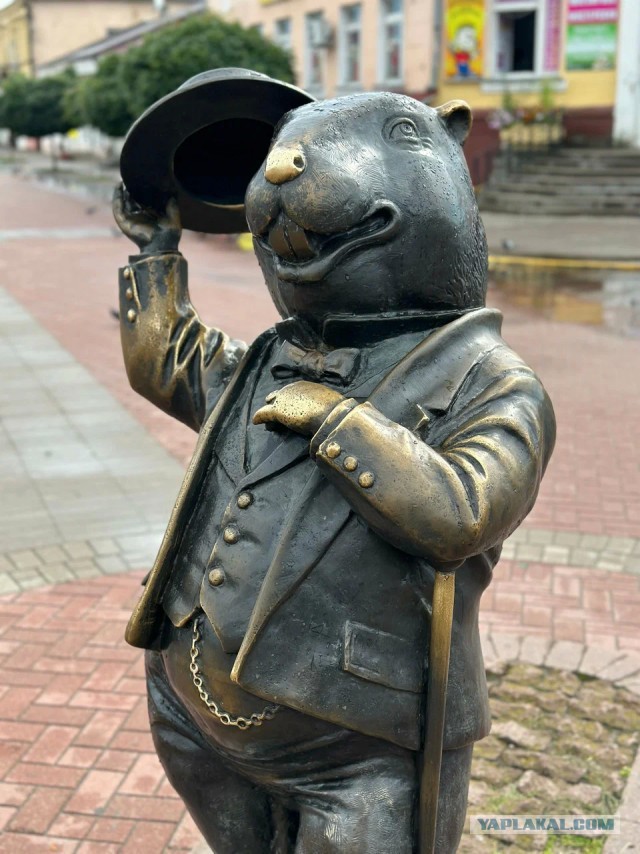 С днём сурка