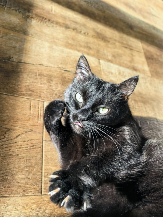 Чот накОтило.