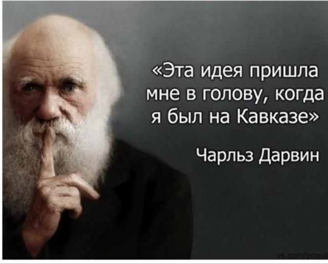 Разборки