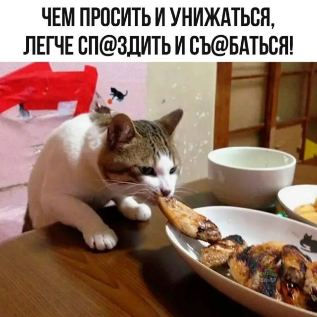 Пятничные картинки