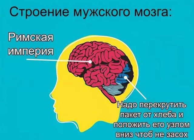 Картинки для деградации 235 (разной степени свежести)